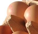 �Qu� datos deben aparecer en la etiqueta de un producto de alimentaci�n?