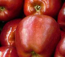 �Tiene que aparecer el lugar de origen en la fruta?