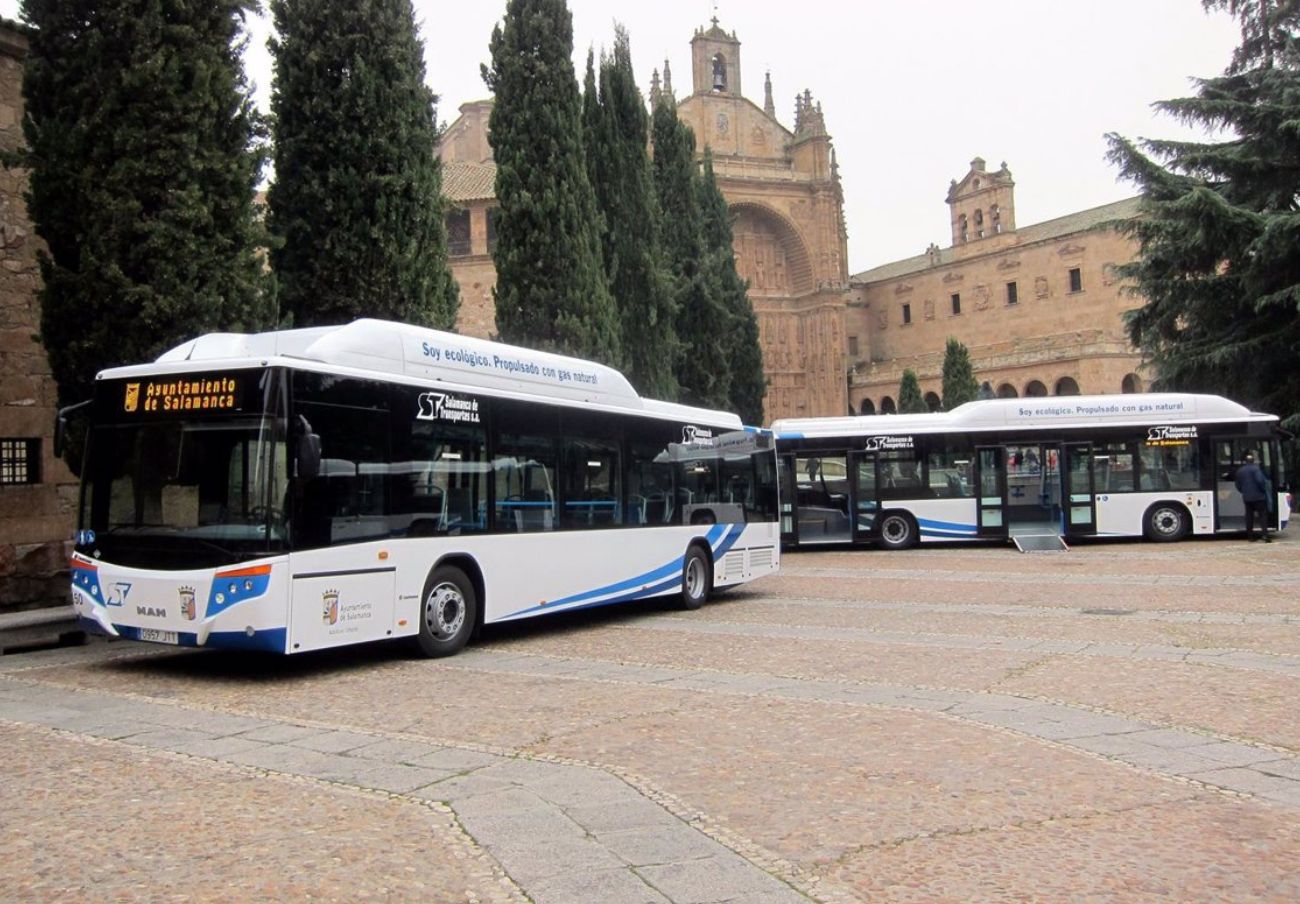 Consumo multa con solo 300 euros a la empresa de autobuses de Salamanca por no tener teléfono gratuito