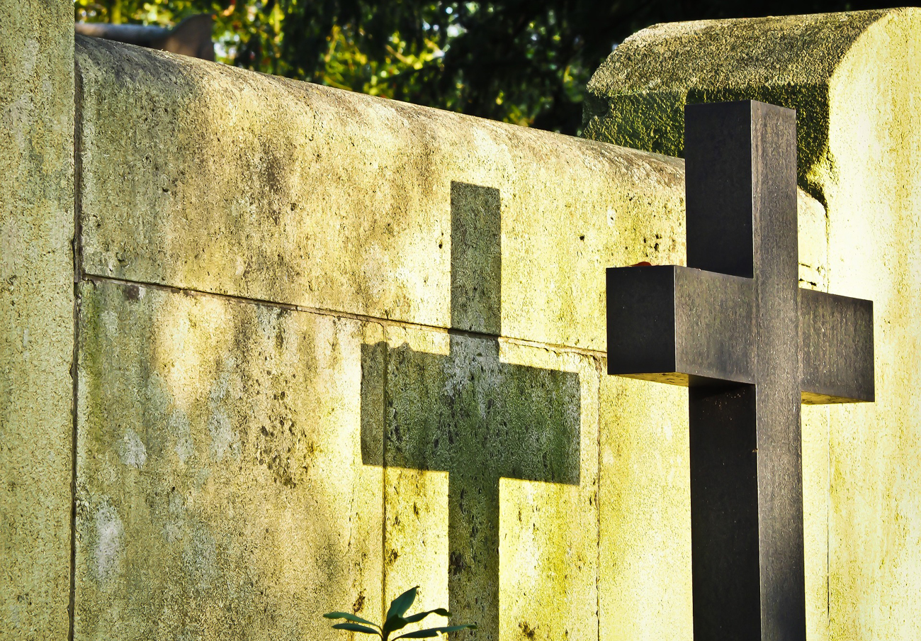 FACUA Granada pide al nuevo alcalde que suspenda las exhumaciones del cementerio FACUA Granada pide al nuevo alcalde que suspenda las exhumaciones del cementerio