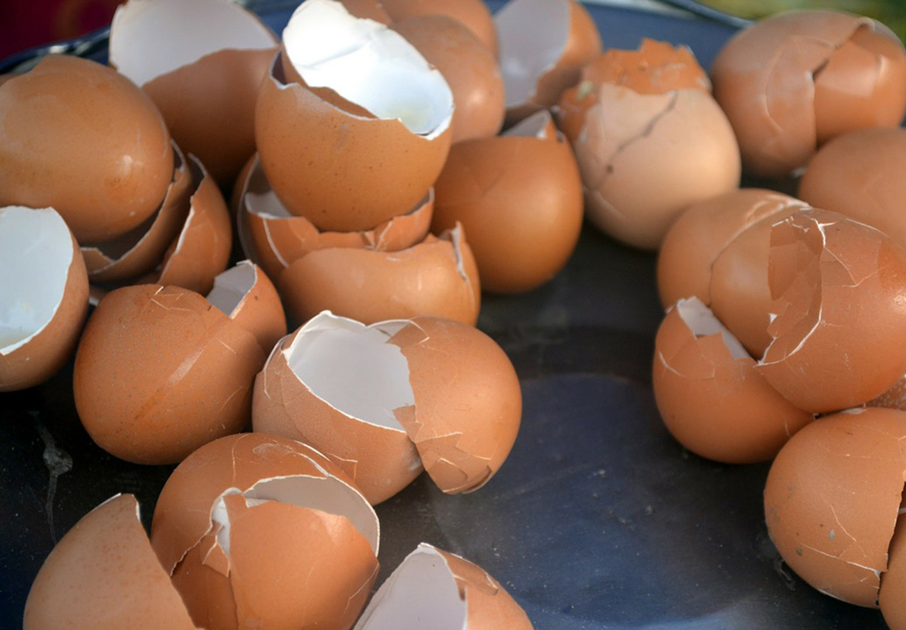 Bélgica indemnizará a las empresas afectadas por el escándalo de los huevos contaminados Bélgica indemnizará a las empresas afectadas por el escándalo de los huevos contaminados