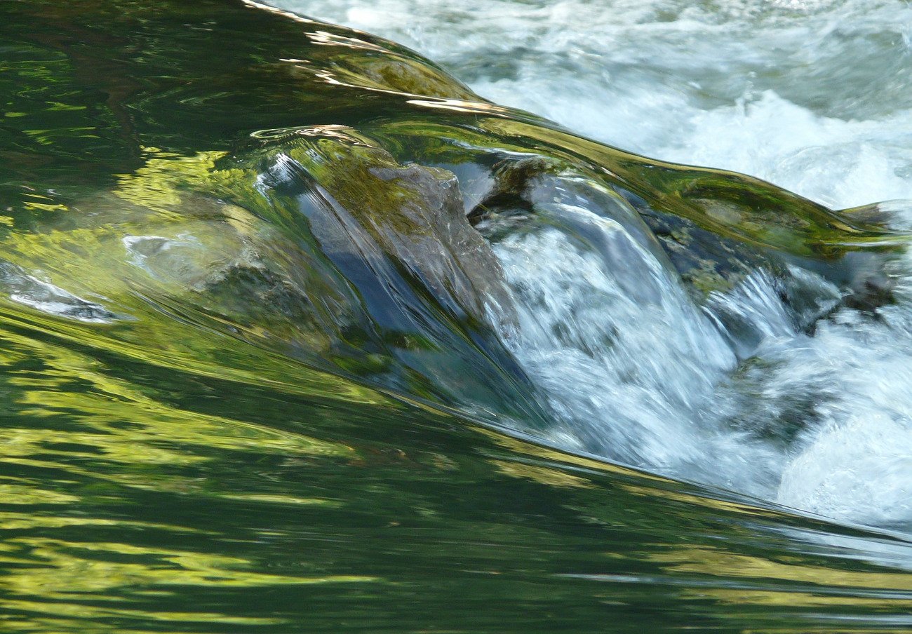 FACUA insta al Gobierno de Asturias a que informe de la calidad de las aguas de la ría avilesina
