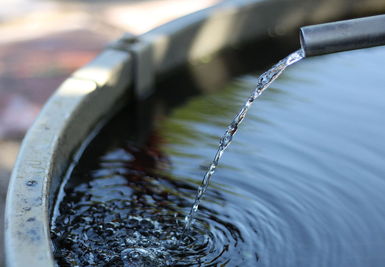 La Mesa Social del Agua reclama una transición hídrica justa