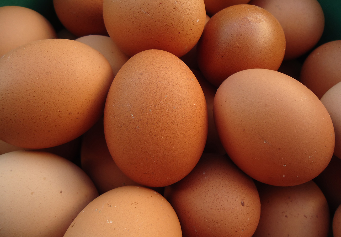 Salmonela en huevos: FACUA exige a Consumo que aclare por qué lleva ocultando 5 meses la alerta del brote