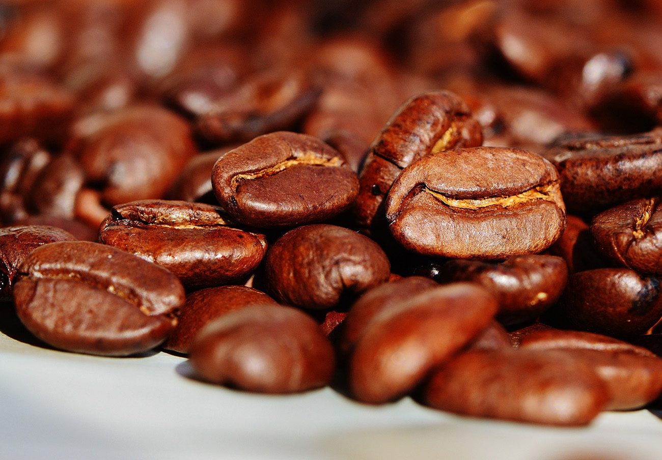 La UE acuerda el veto a las ventas de café, cacao o aceite de palma que causen deforestación