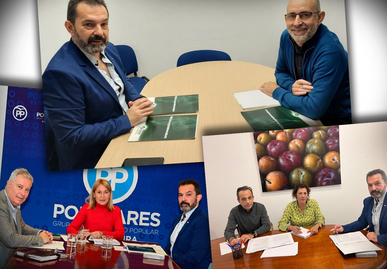 FACUA Extremadura expone sus reivindicaciones en materia de consumo a Unidas por Extremadura, PP y PSOE 